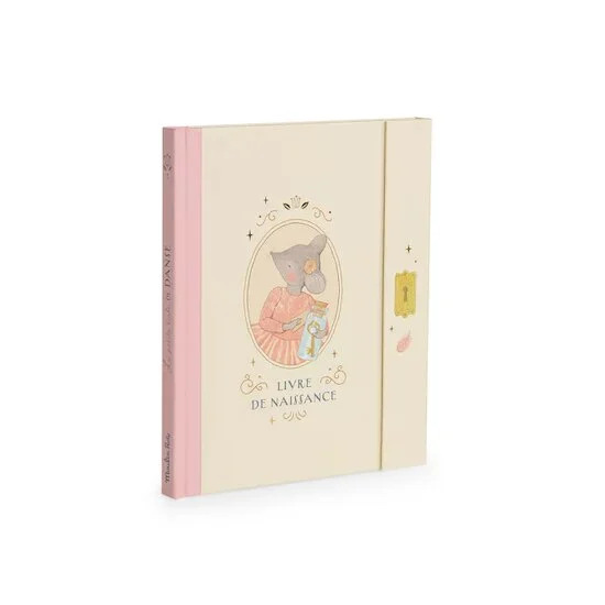 La Petite École de Danse Livre de Naissance   Rose        de               Moulin Roty