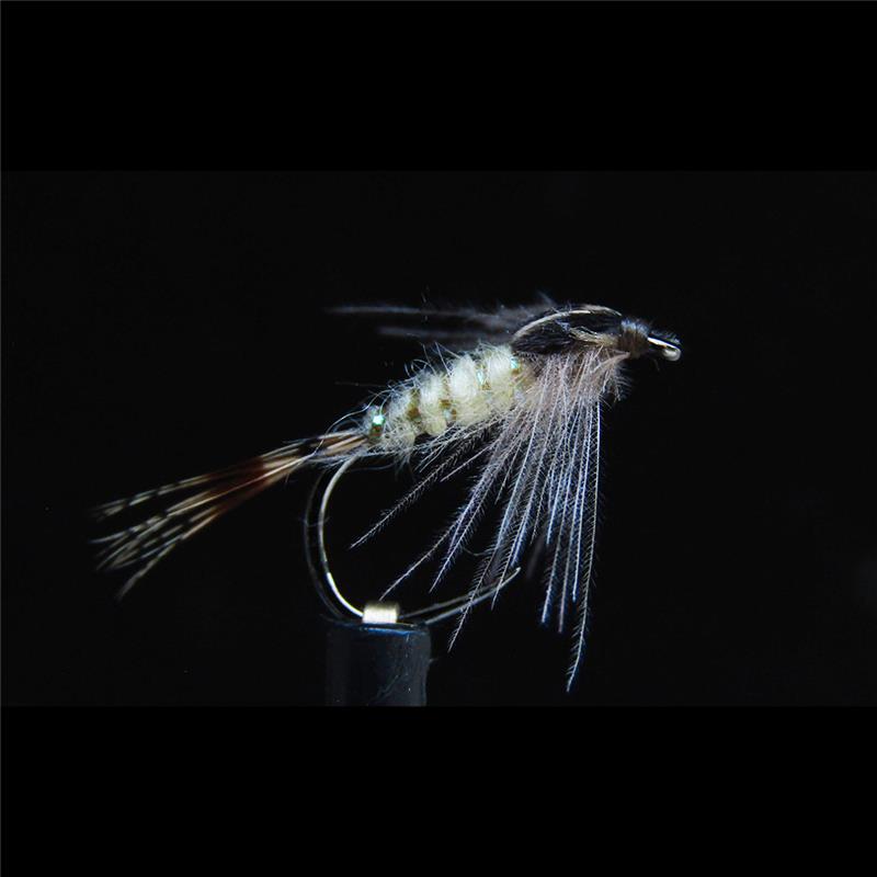 Mouche Jmc Sèches Mai 42 Bl