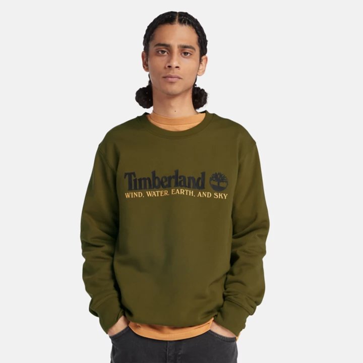 Moletom masculino verde com estampa de vento, água, terra e céu.