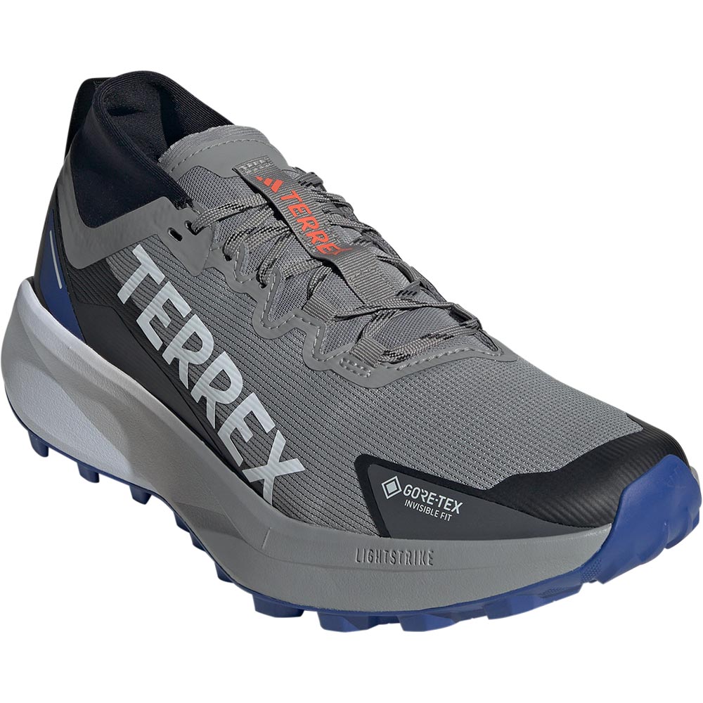 adidas TERREX Terrex Agravic GTX Trailrunning Schuhe Herren charcoal solid grey