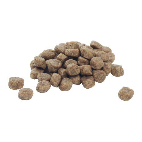 Purina Pro Plan Dog Puppy - Large Breed