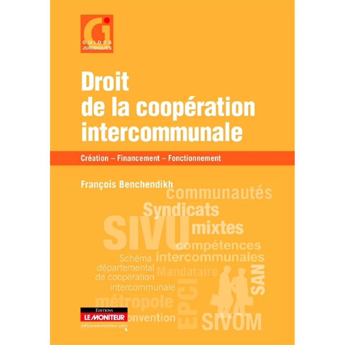Droit de la coopération intercommunale : création, financement, fonctionnement · Occasion