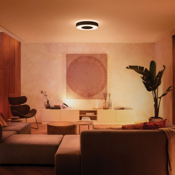 Philips Hue plafondlamp Infuse zwart - wit en gekleurd licht 53W - Ø 42 cm