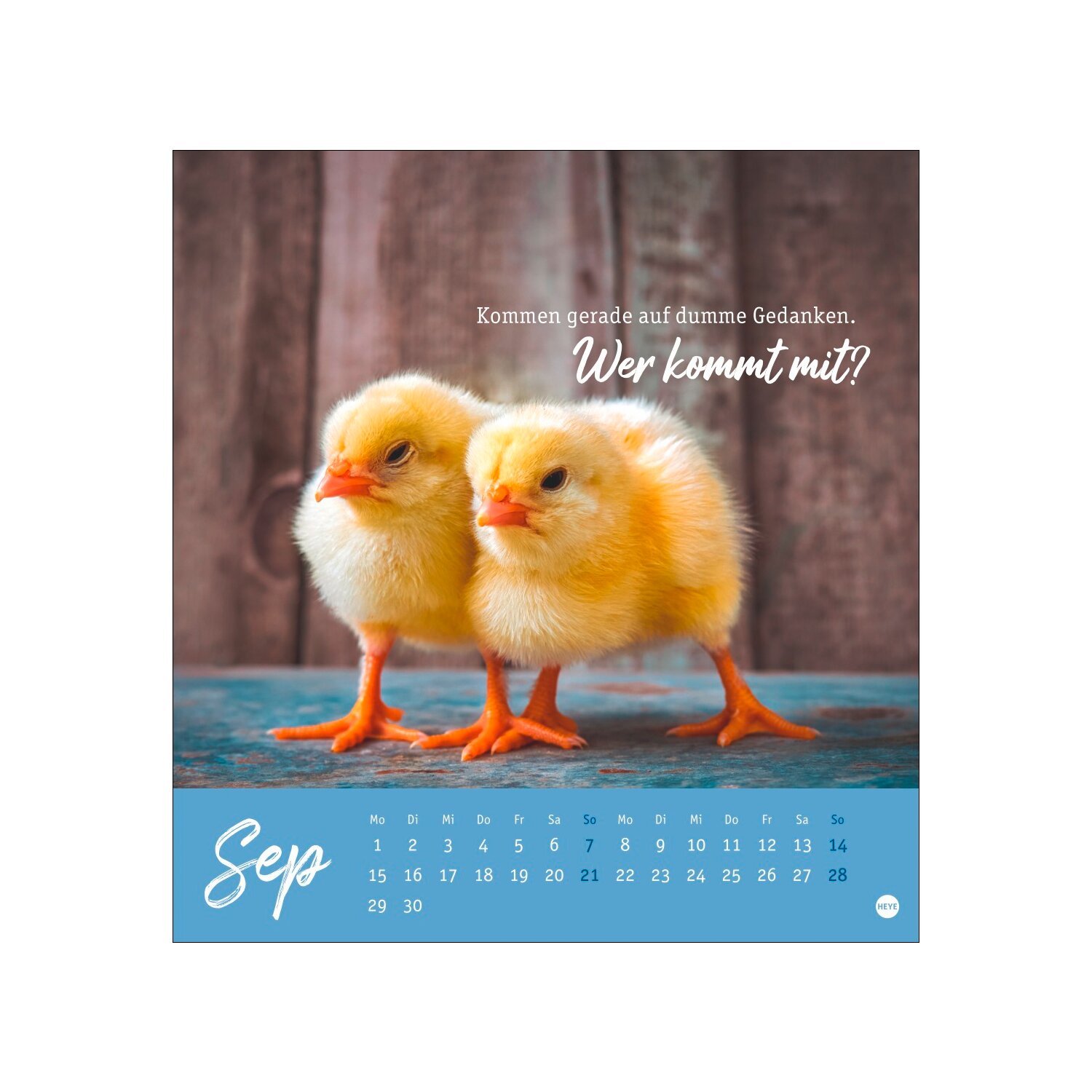 Postkartenkalender Hühner 2025 - Ach, du verrücktes Huhn  - 2025