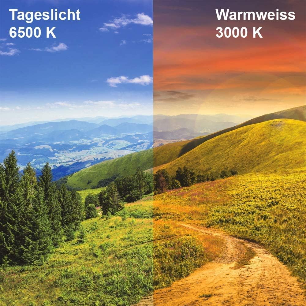 12x LED Feuchtraumleuchte Stallleuchte 120cm 4000K dlg anerkannt ammoniakbeständig 36W 4300lm IP66 Agrarleuchte Stalleuchte Beleuchtung Kuh Kuhbeleuchtung Schweineleuchte agrarlampe