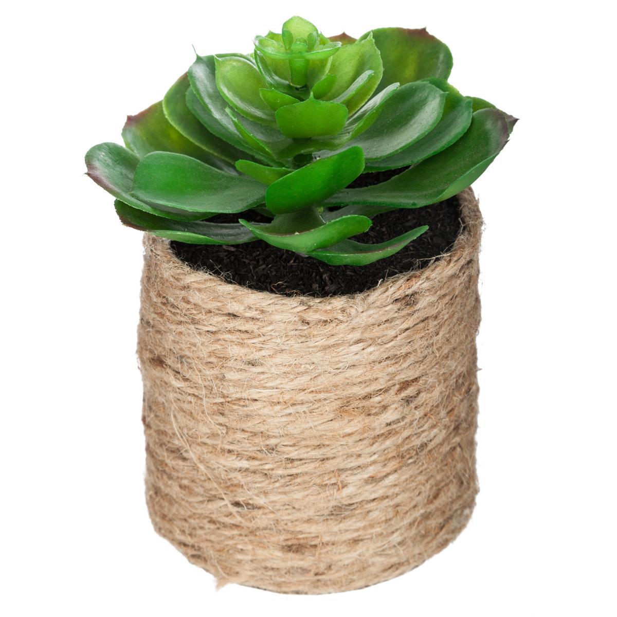 PLANTE VERTE CORDE ETHNIQUE H.16CM