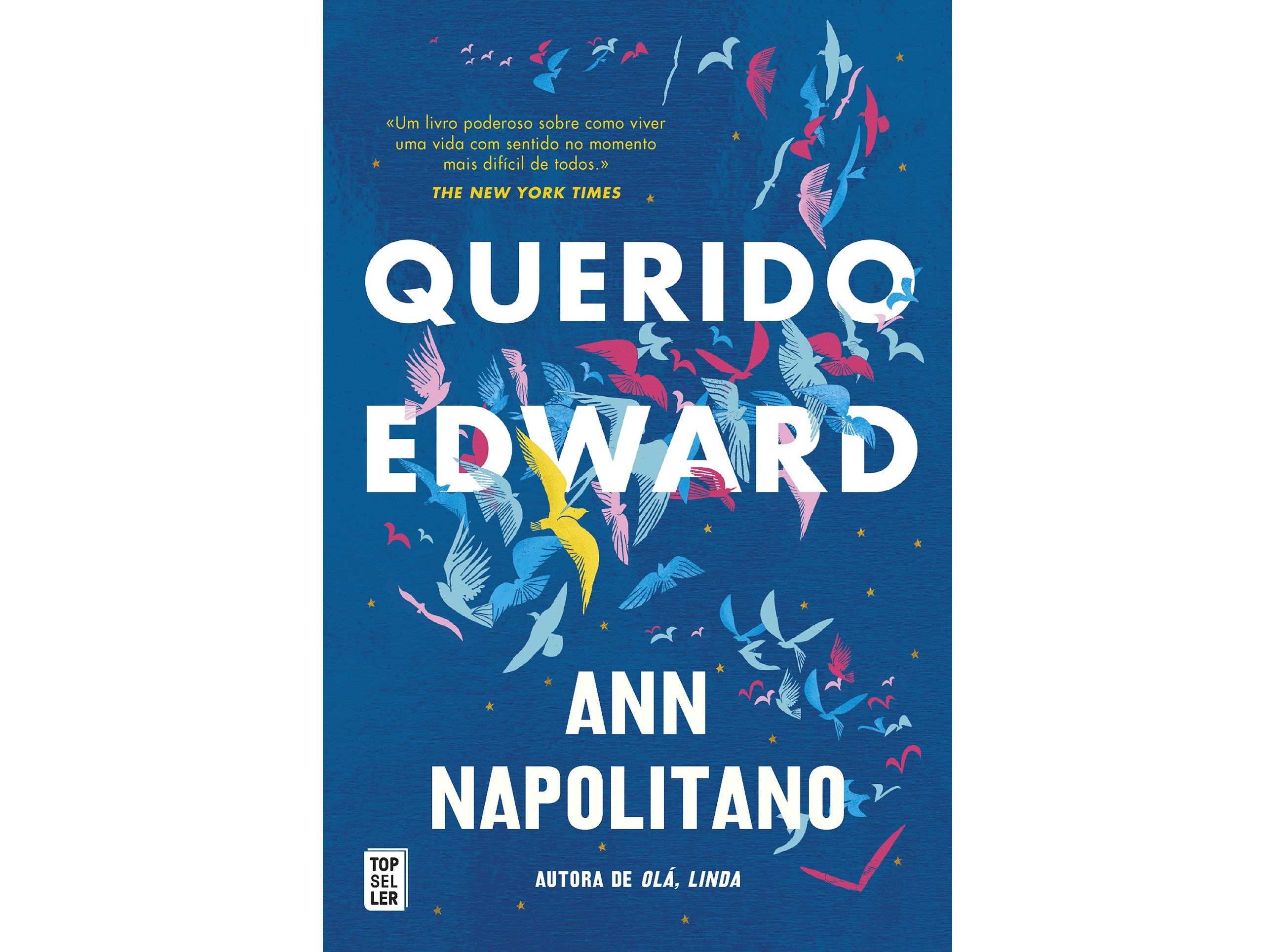 LIVRO QUERIDO EDWARD DE ANN NAPOLITANO