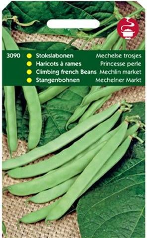 groentezaad (Phaseolus vulgaris 'Mechelse trosjes')