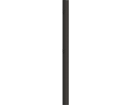 ALBERTS Madrid scharnierpaal 8 x 170 cm antraciet