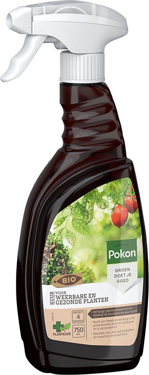 Pokon Bio Kuur Voor Weerbare en Gezonde Planten Spray 750 ml