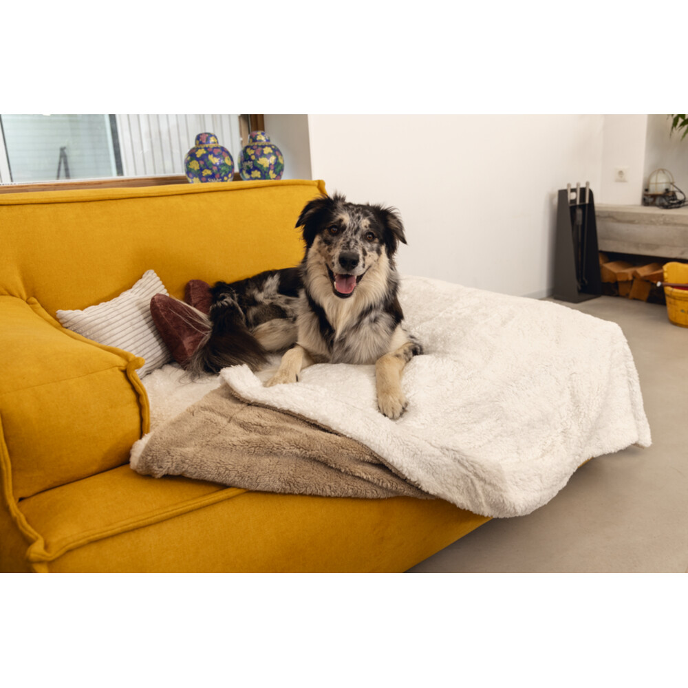 Designed by Lotte Pluche Plaid Wush Beige - Bruin150 x 125 cm