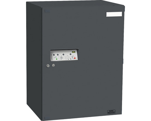 Burg Wächter pakketbus eBoxx GV 644 S ANT antraciet BxHxD 575/760/450 mm