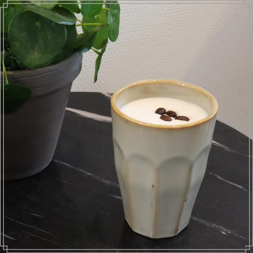 OTIX Cappuccino Mokken 330 ml Koffietassen Latte Macchiato Glazen Set van 4