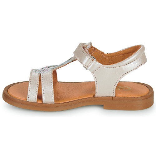 GBB - MURIA - Rose