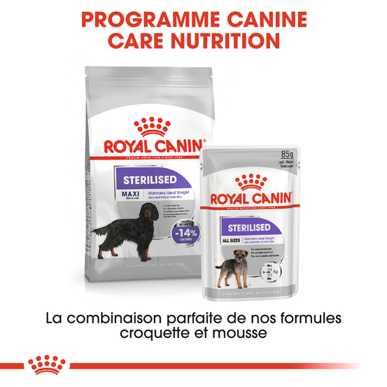 Croquettes chien stérilisé grande taille Maxi Sterilised 12kg