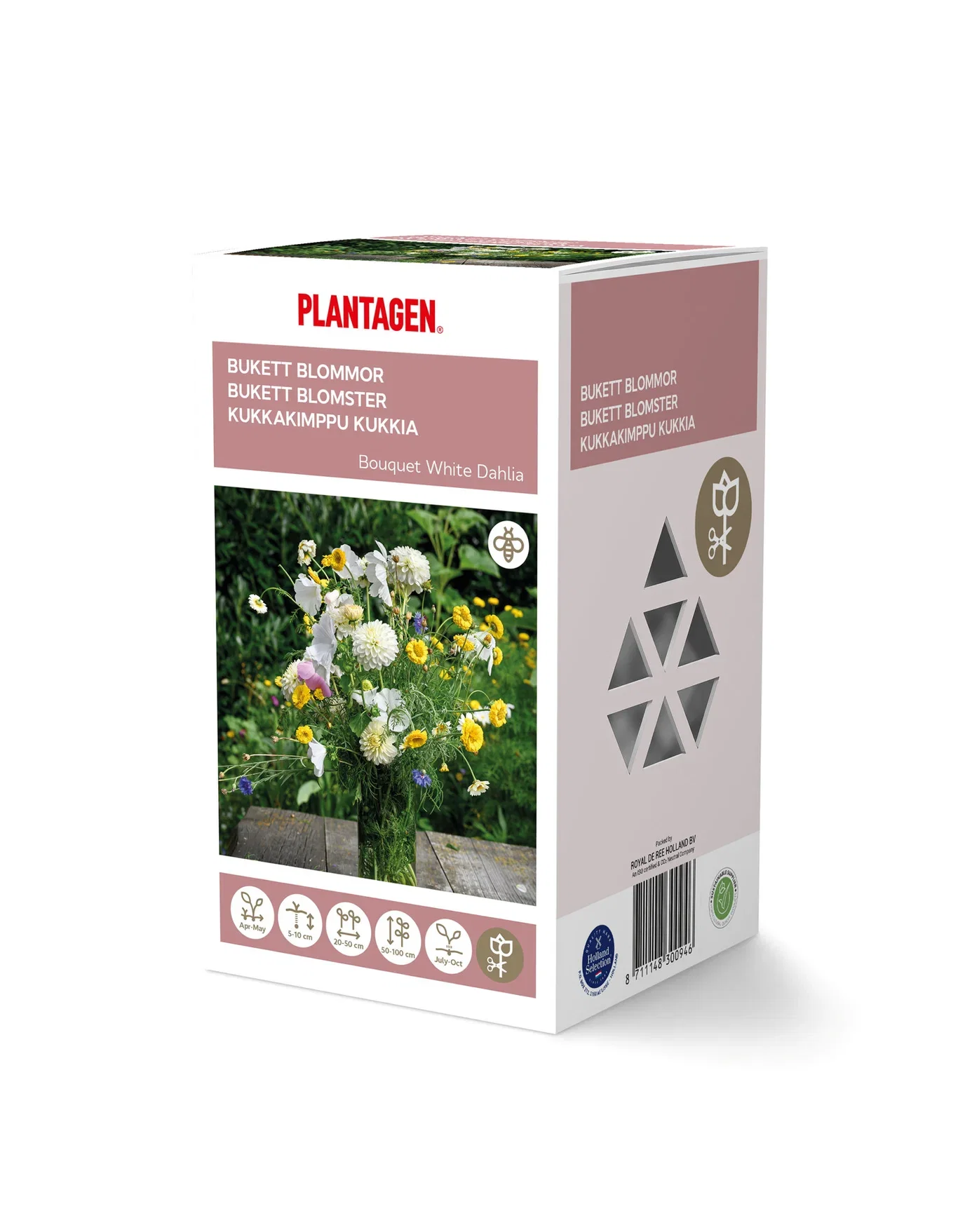 Plantagen Bukettmiks georgine hvit
