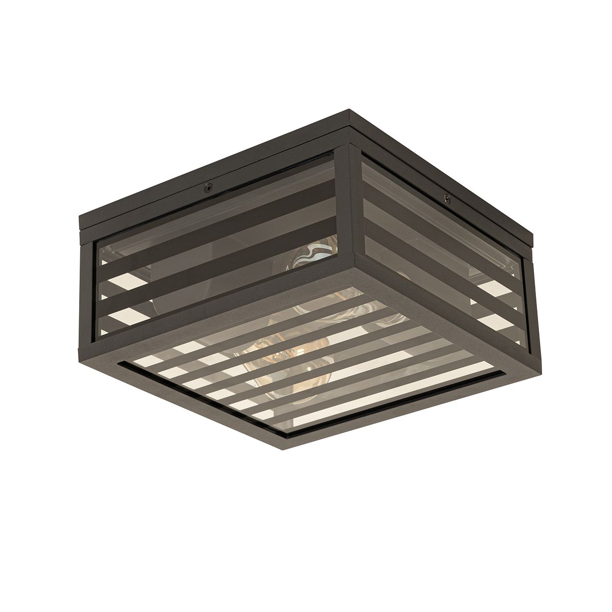 Moderne buiten plafondlamp zwart glas 2-lichts IP44 - Reims