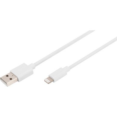 Câble de données/charge Lightning Apple, USB-A