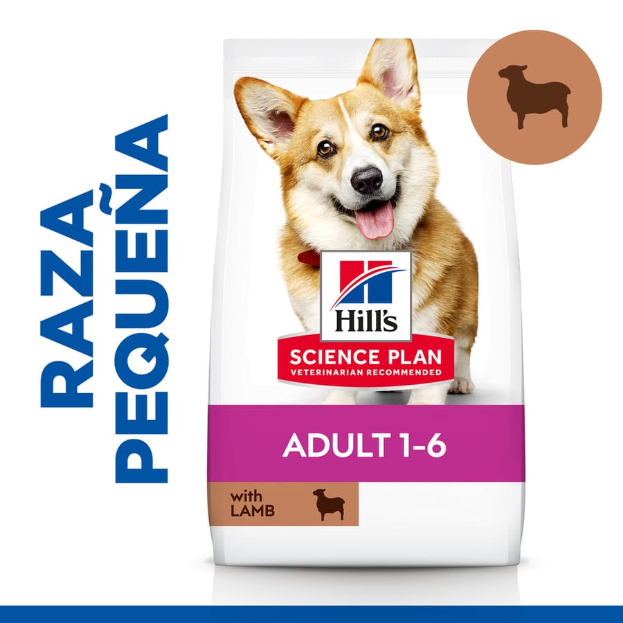 Ração Hill's Science Plan Adult para Cães de Pequeno e Pequeno Porte com Cordeiro