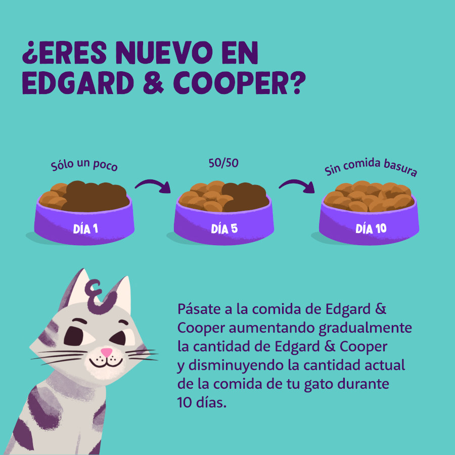 Ração para gatos adultos Edgard & Cooper com salmão