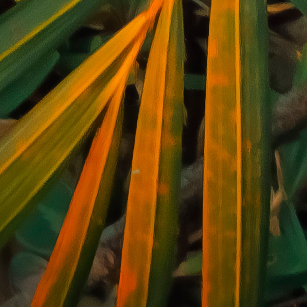 Komar Fototapete »Digitaldruck Vlies -  Amazon Fern - Grösse 400 x 250 cm« bedruckt glatt Wohnzimmer, Schlafzimmer