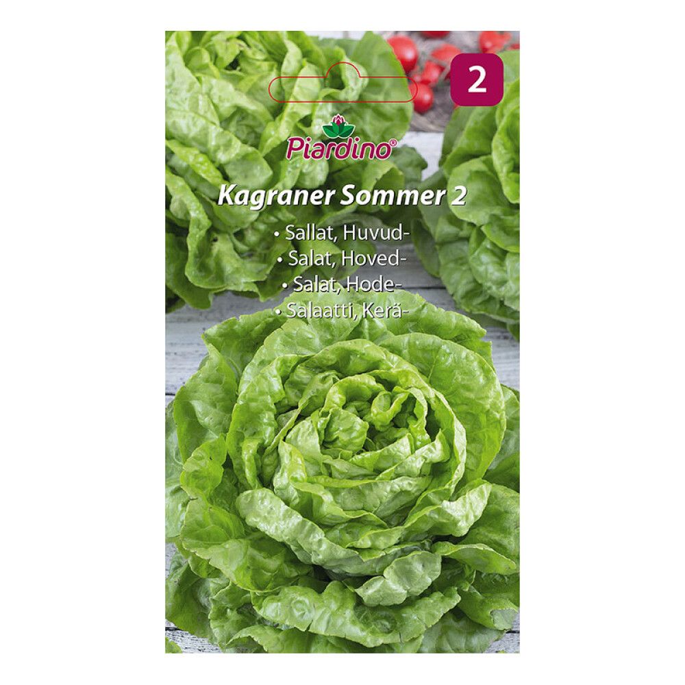 GRØNNSAKSFRØ PIARDINO SALAT KAGRANER SOMM