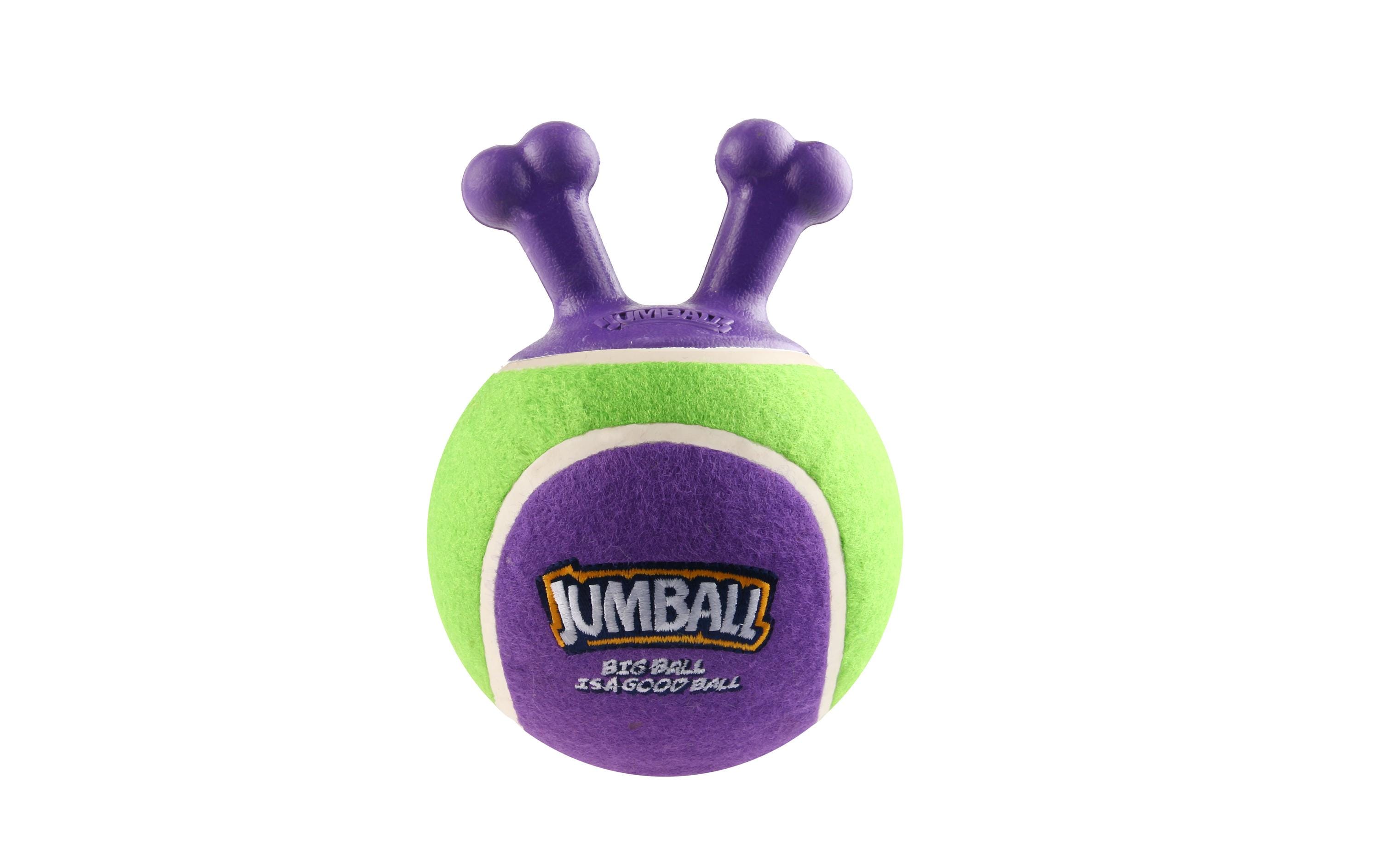 Hunde-Spielzeug Jumpball, Tennis Ball, Grün/ViolettSpielzeug für Hunde