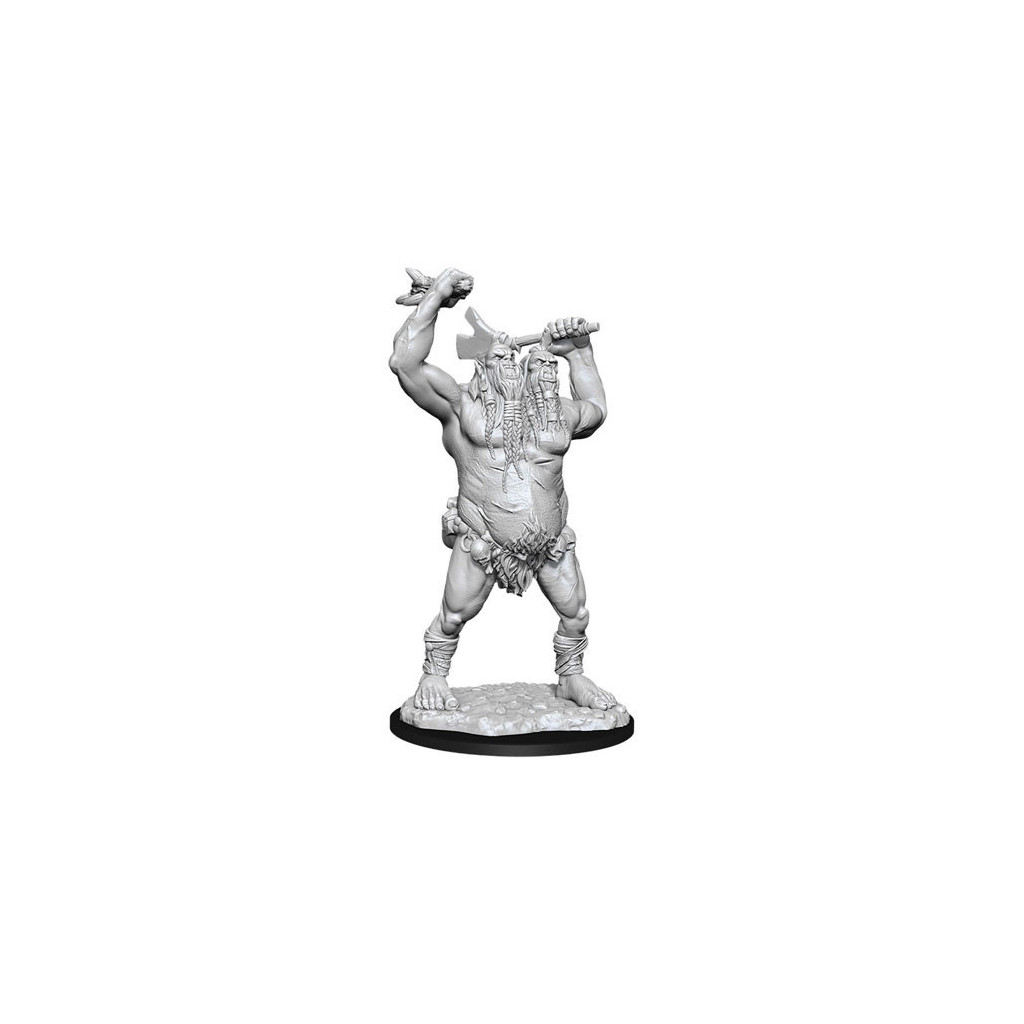 D&D Nolzur's Marvelous Unpainted Miniatures: Ettin