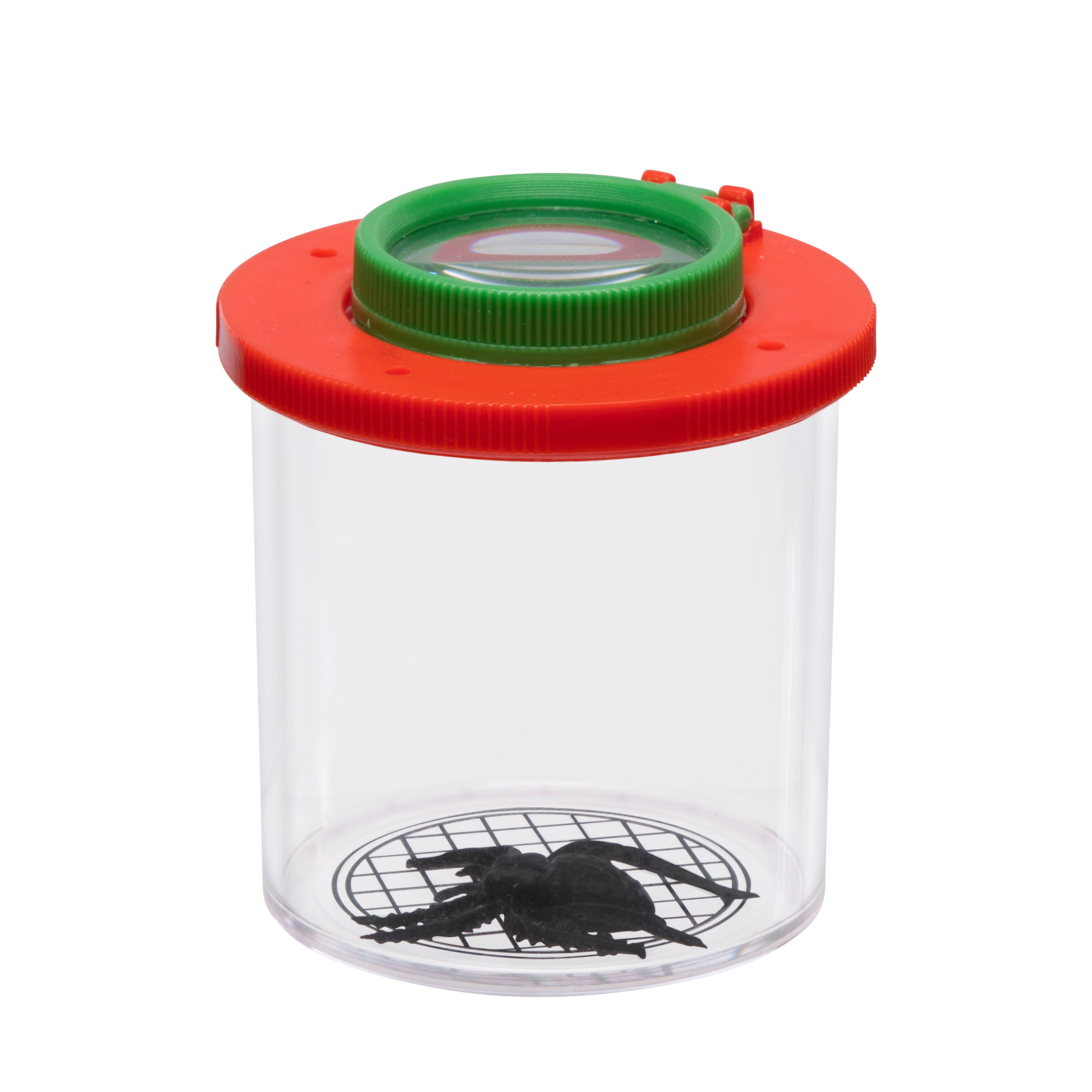 Insekten Beobachtungsbox mit Spinne