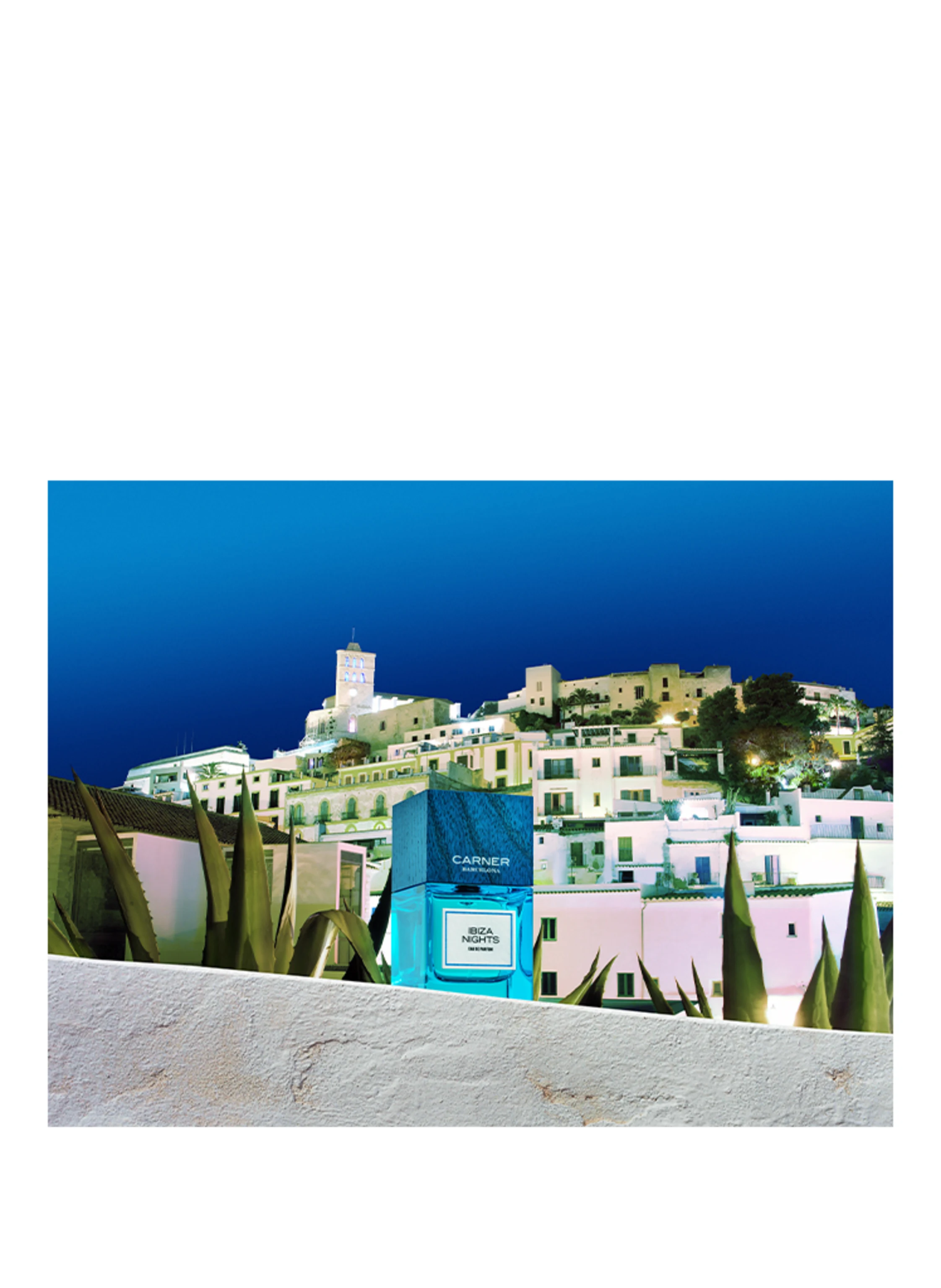 CARNER BARCELONA IBIZA NIGHTS
