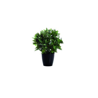 Plante artificielle laurier - hauteur 50 cm