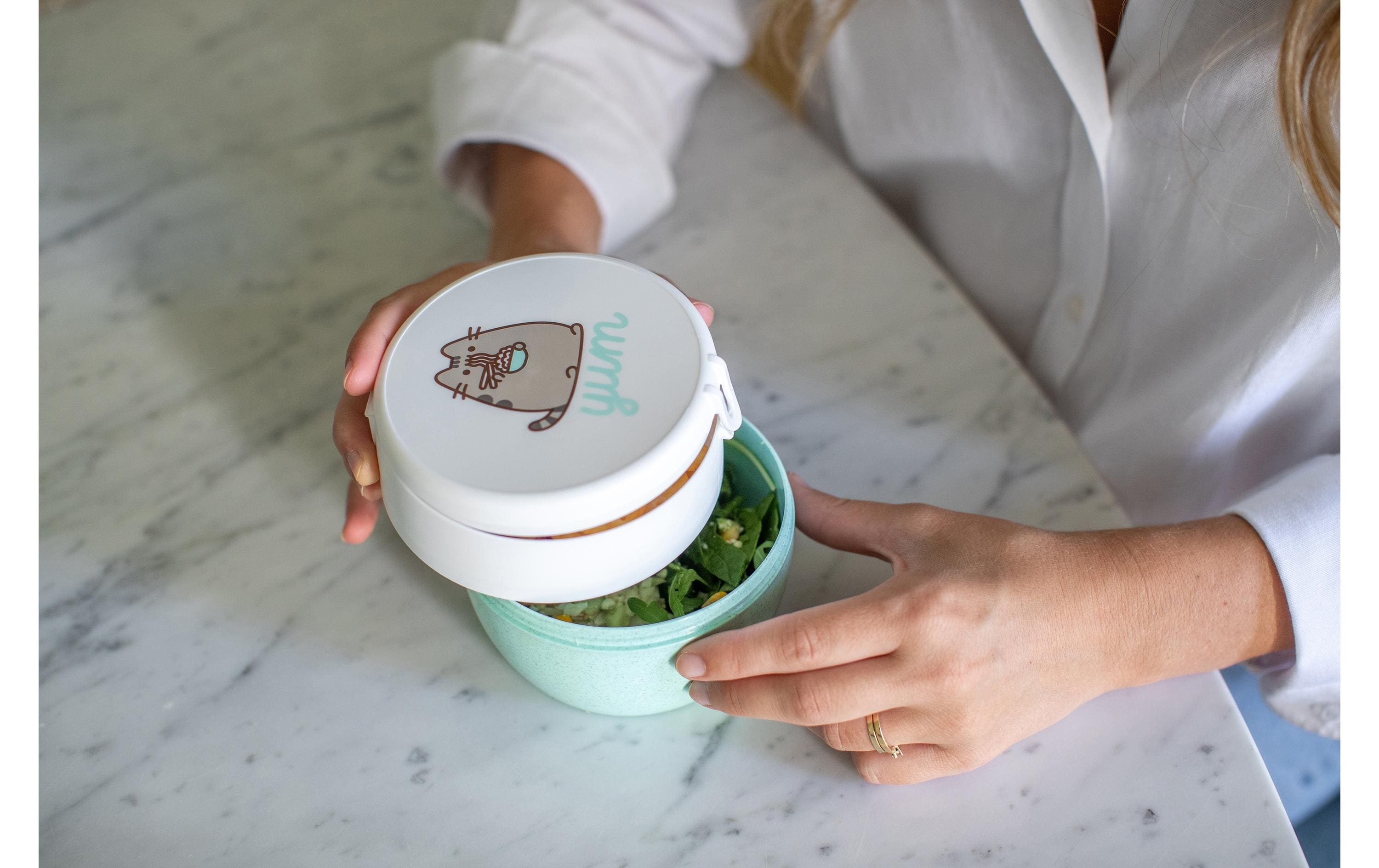 Lunchbox Bento Pusheen 450 ml, Mint/TürkisLunchbox-Set im Geschenkkarton