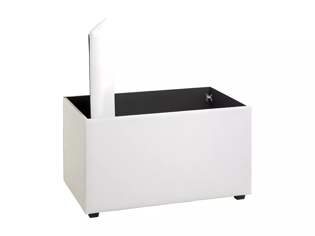 Coffre de Rangement Design 