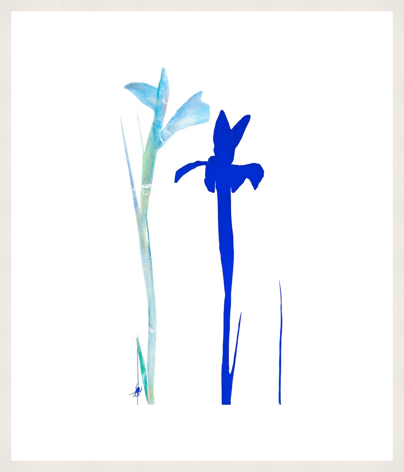 Flowers 1 by Sibylle Prinzessin Von Preussen - Limited Edition. Edition of: 100. Signed.