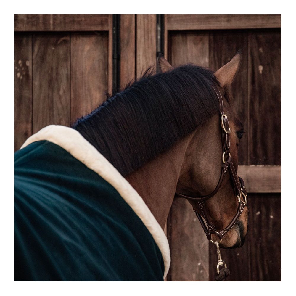 Kentucky SHOW HEAVY - Chemise séchante pine green
