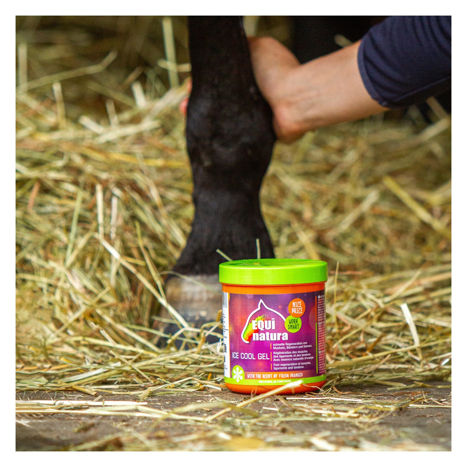 EQUinatura ICE COOL Gel  - 600 ml
