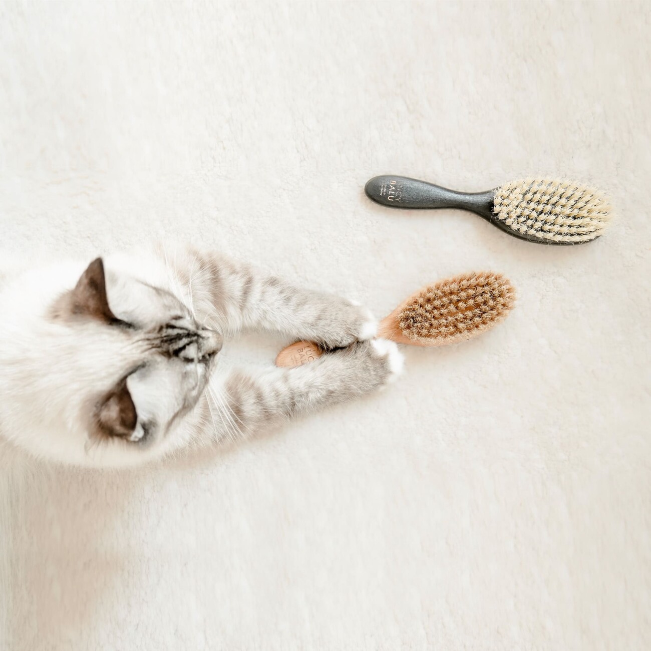 LucyBalu FIGARO Katzenbürste helles Holz