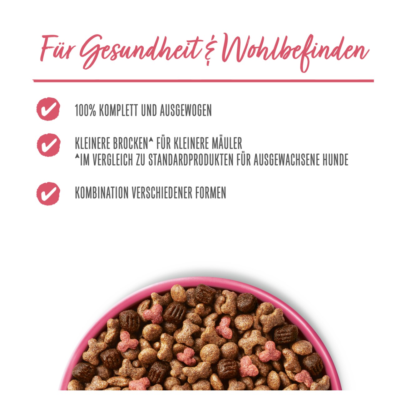 Beneful Purina Trockenfutter Hund, Adult, Kleine Genießer, Rind & Gartengemüse 2,8 kg