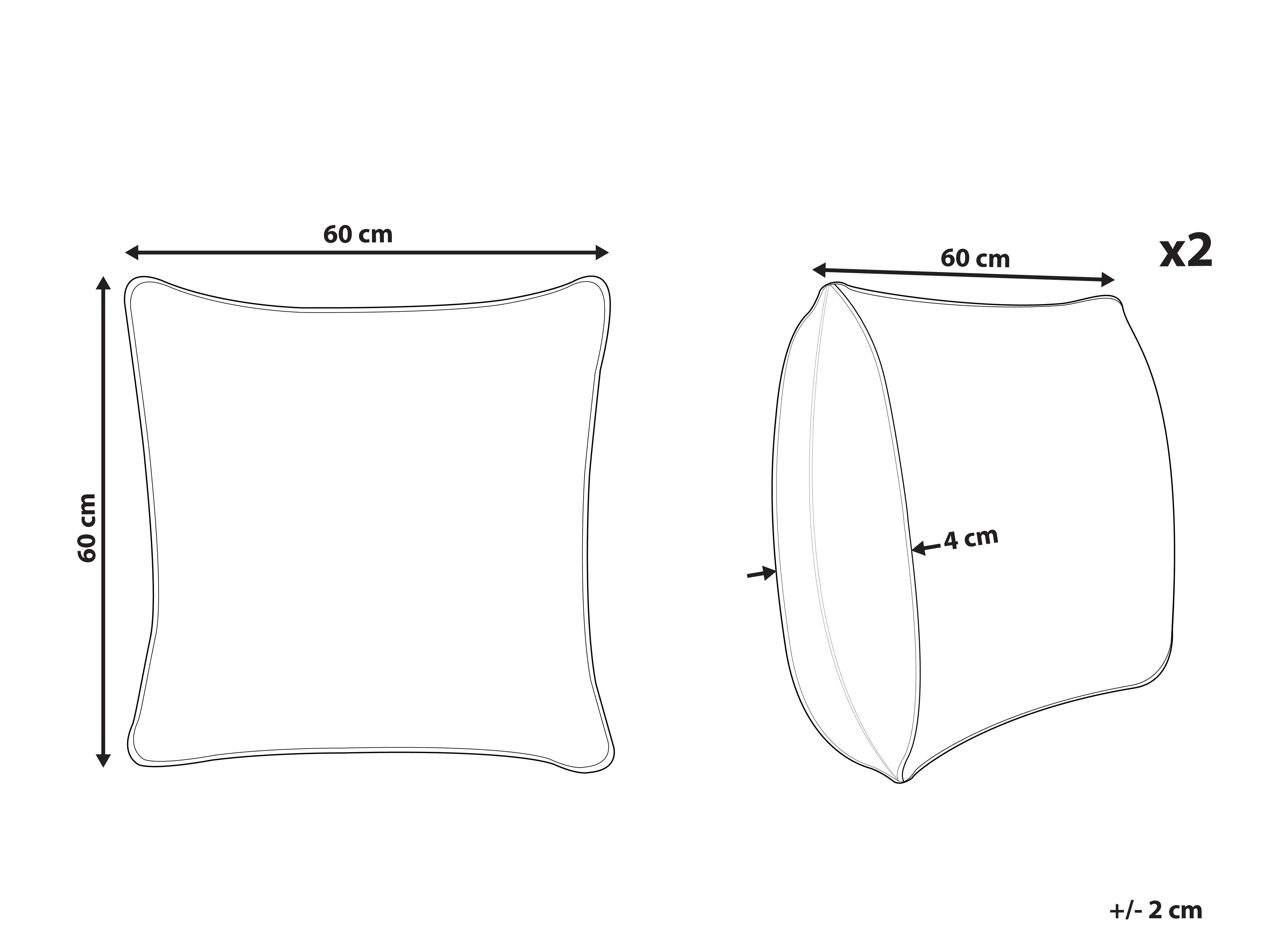 Set van 2 sierkussens DIANTHUS 60 x 60 cm Meerkleurig geometrisch patroon