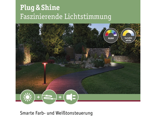 Paulmann Plug & Shine LED-paalverlichting 5,5 W 200/420 lm 3000-6500 KH 60 cm plaat RGBW kleurveranderend Zigbee antraciet 230/24 V