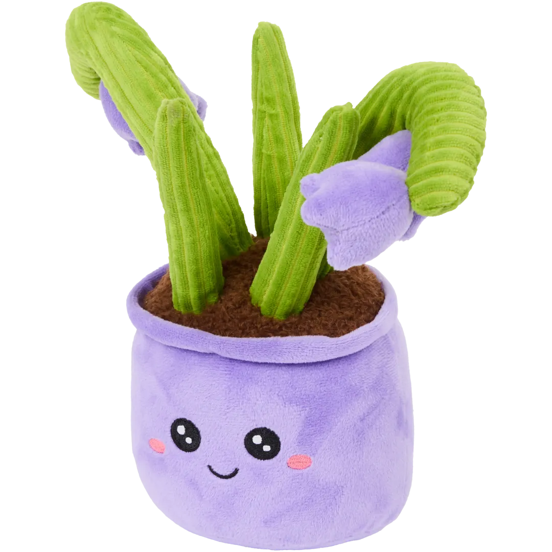 Pluchen plant in pot Diverse varianten