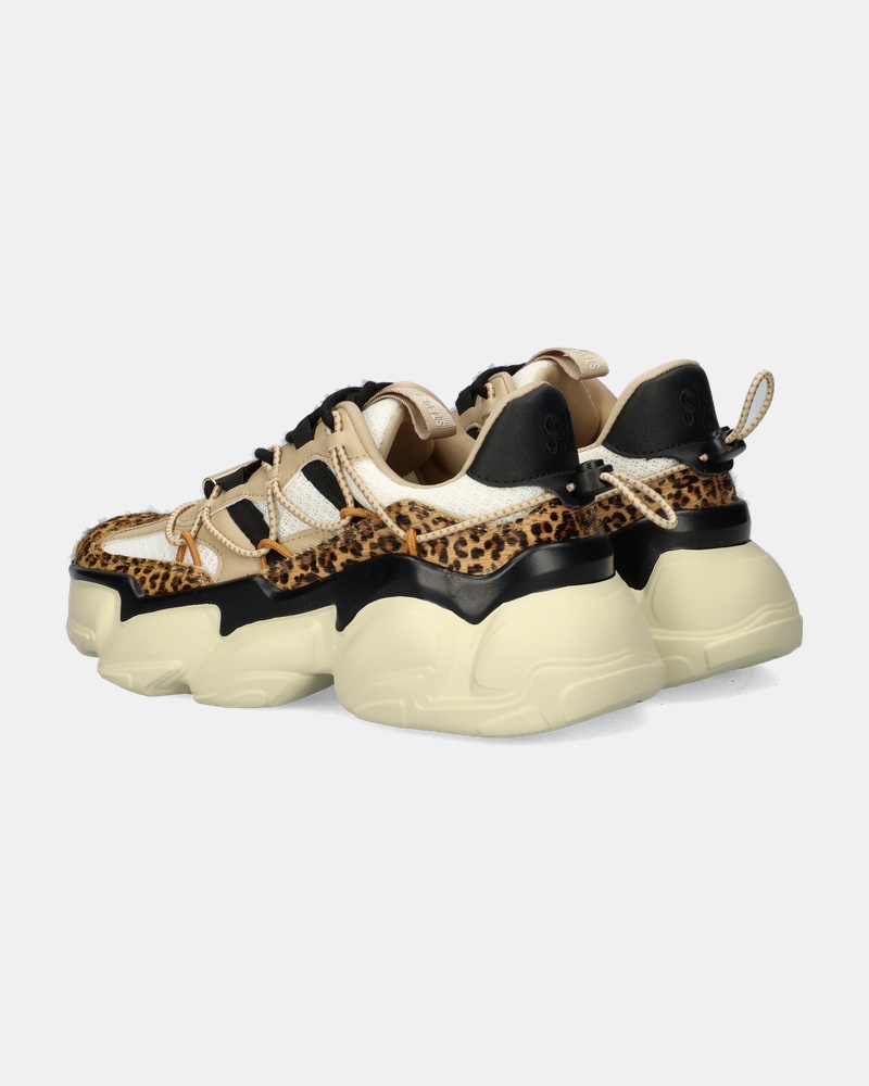 Steve Madden Spectator-L Lage sneakers  - bruin