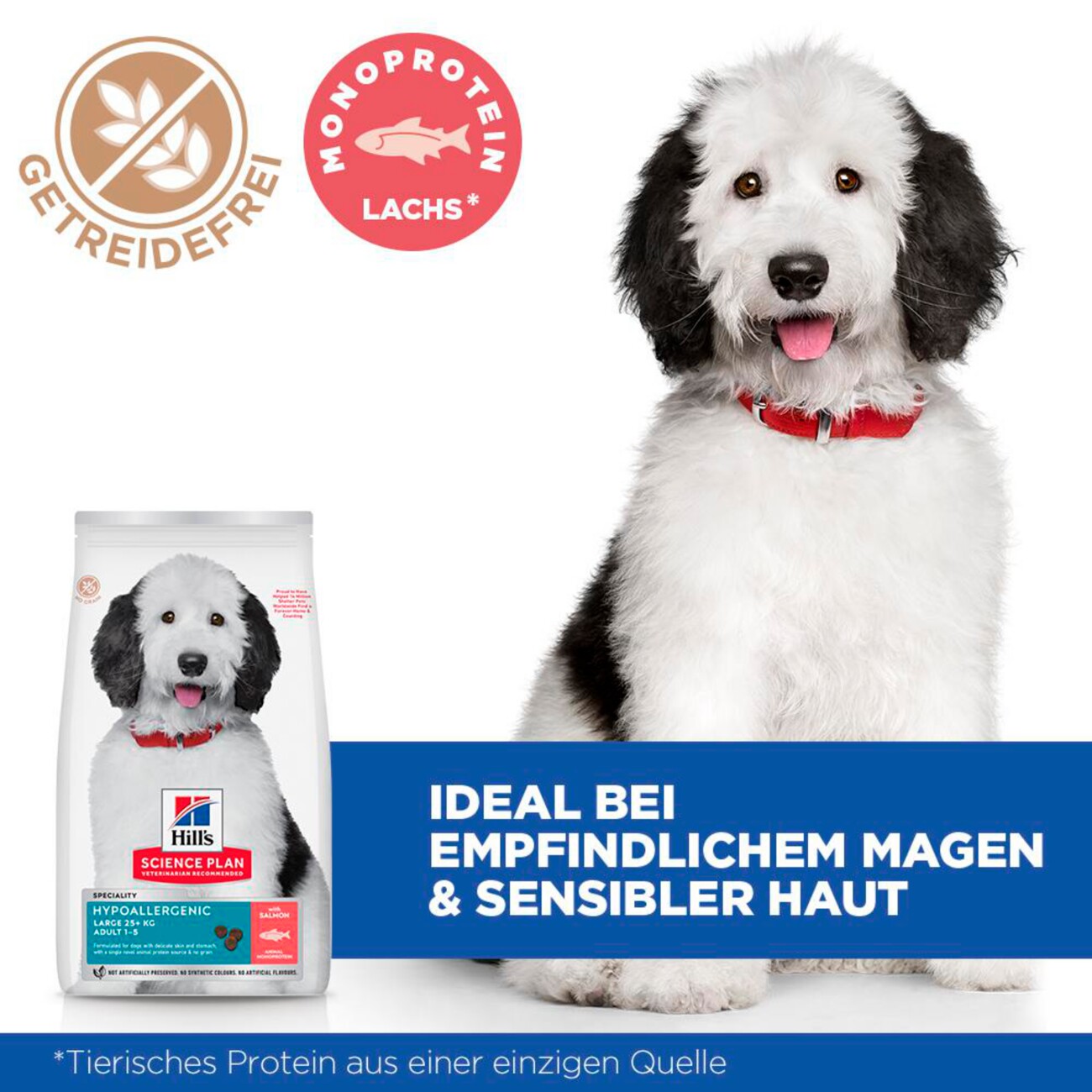 Hill's Science Plan Trockenfutter Hund Adult, Large Breed, Hypoallergenic, mit Lachs 14 kg