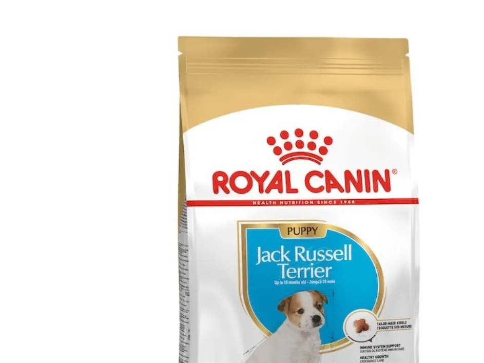 Royal Canin Jack Russell Junior, Hundehvalp,3 kg