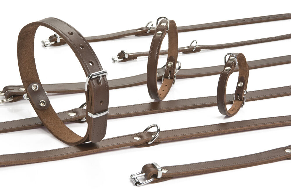 Beeztees - Halsband Hond - bruin - 57 cm
