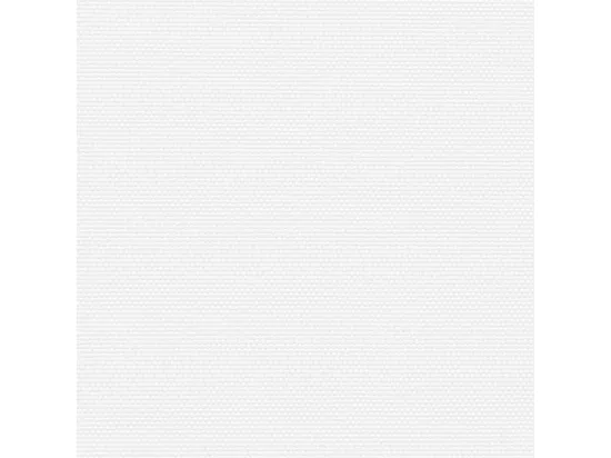 Auvent latéral rétractable blanc 120x1200 cm