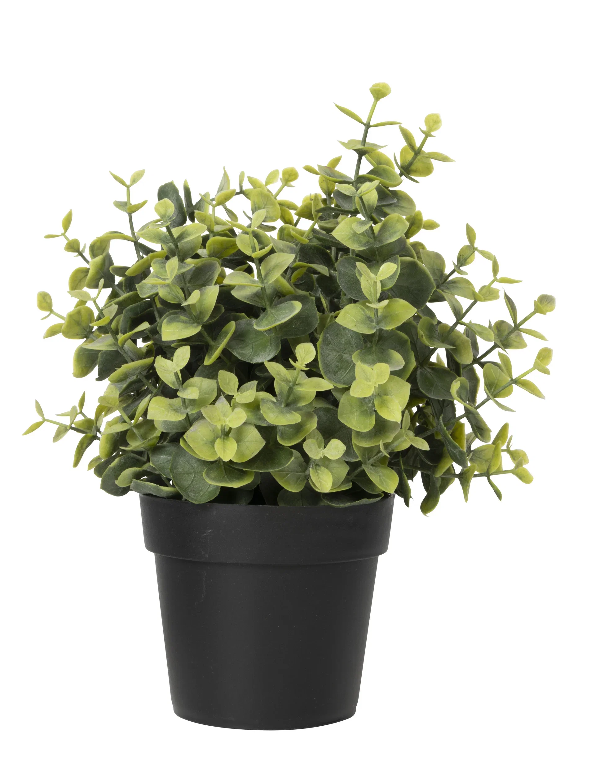 Eukalyptus i potte kunstig Høyde 23 cm