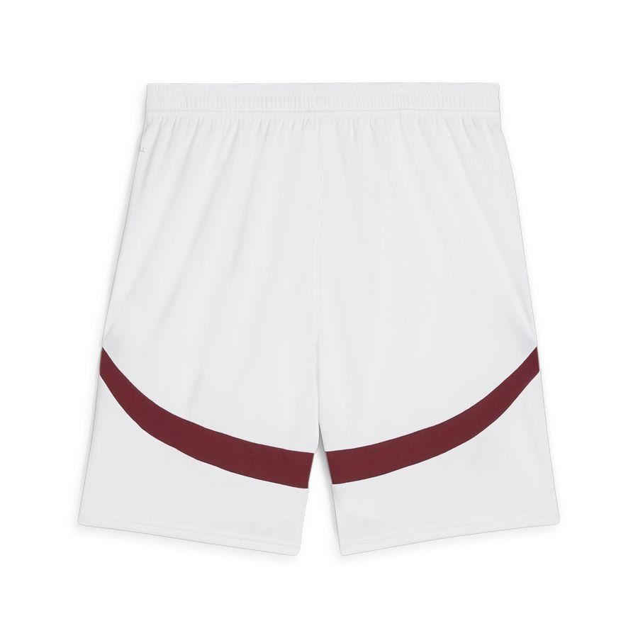 Puma Short de football 2024 Suisse Homme