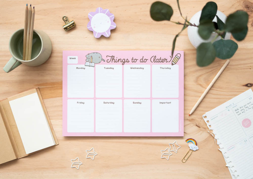 Organizador Sem A4 - Pusheen Rose