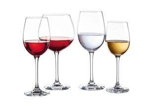 SCHOTT ZWIESEL Rotweinglas CLASSICO 545 ml